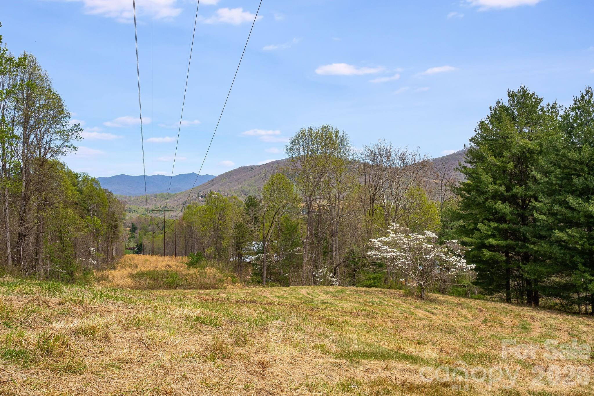 92 Rose Hill Road Asheville, NC 28803 - Photo 34 of 44
