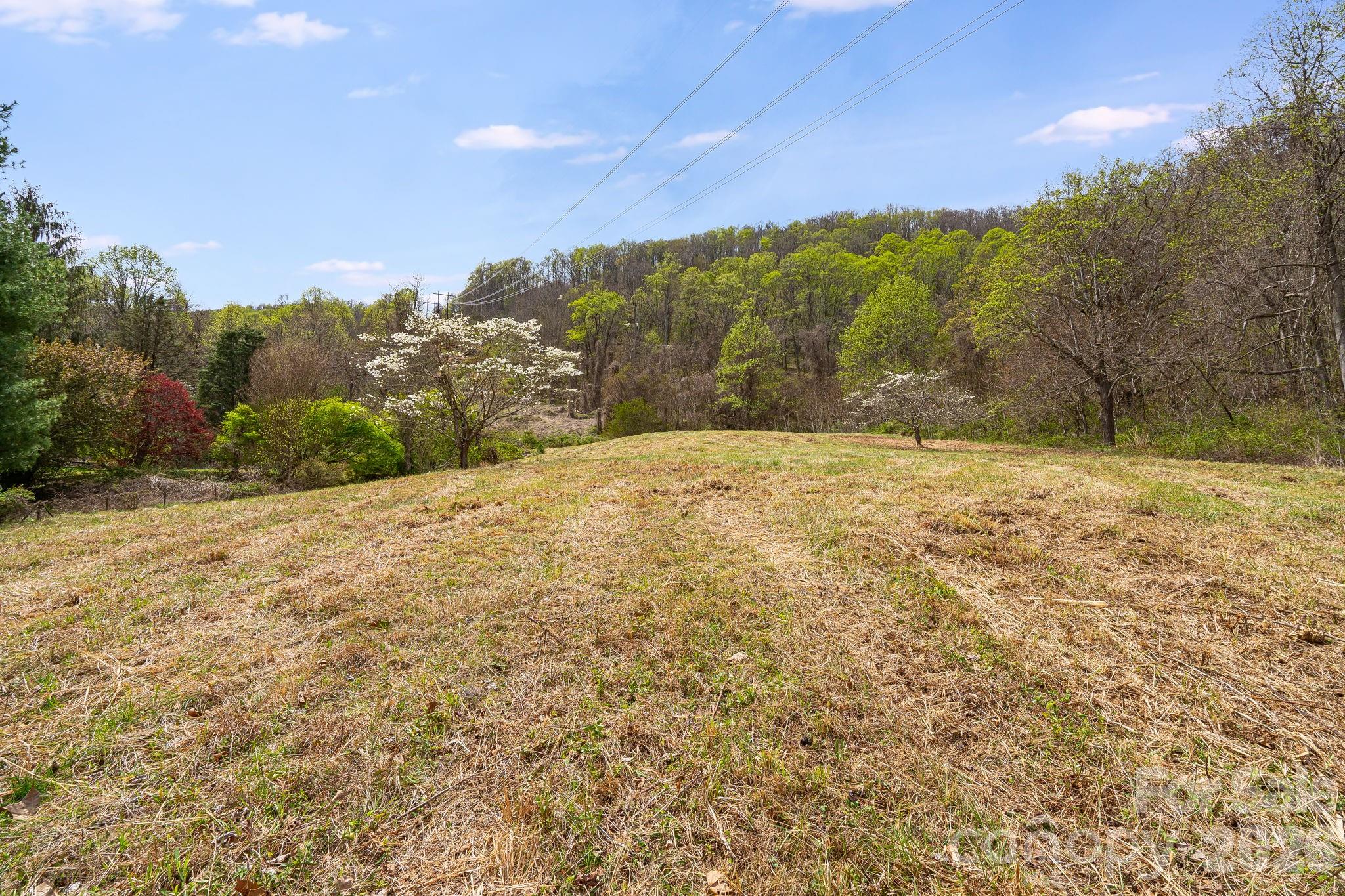 92 Rose Hill Road Asheville, NC 28803 - Photo 35 of 44