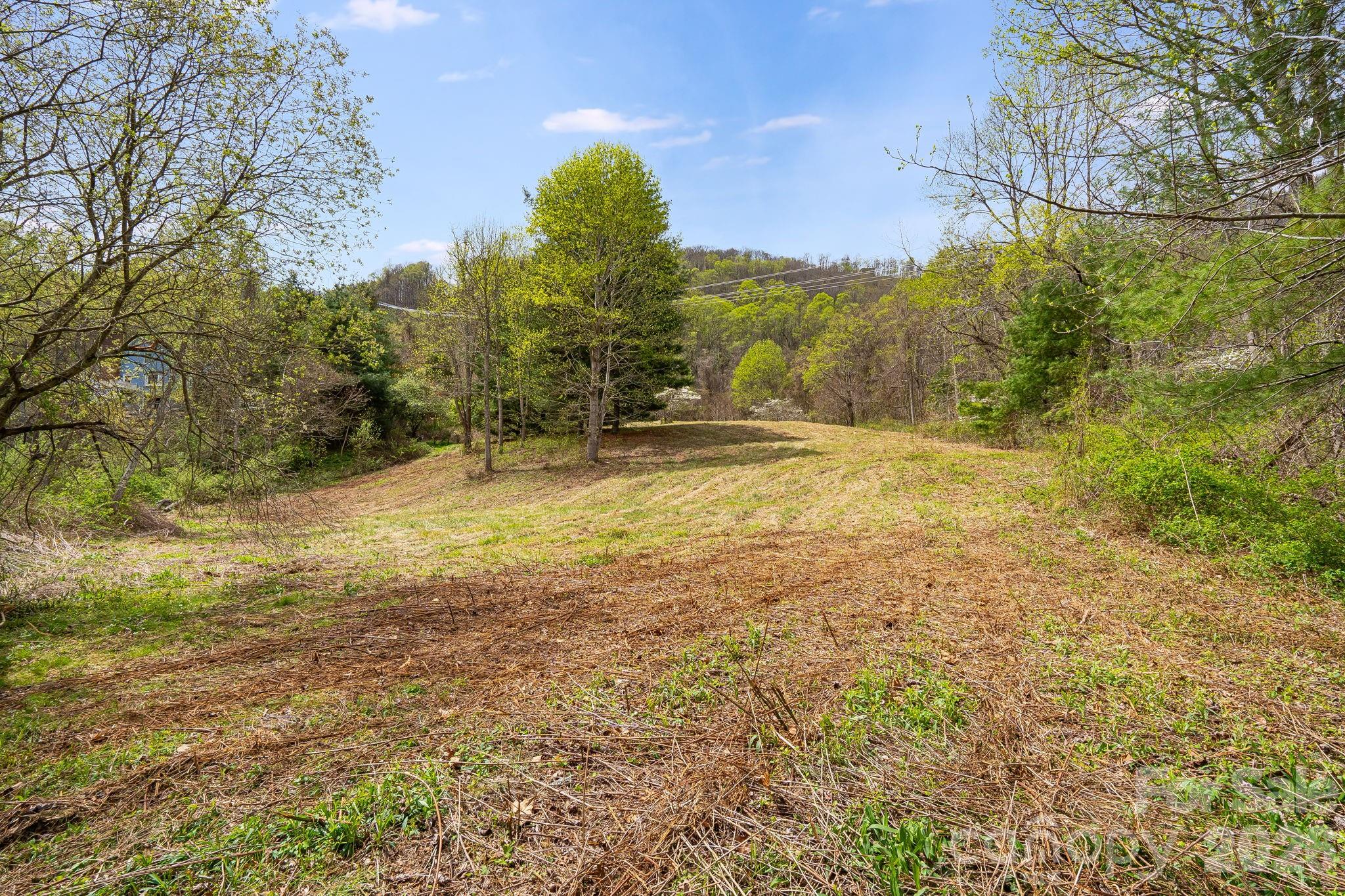 92 Rose Hill Road Asheville, NC 28803 - Photo 38 of 44