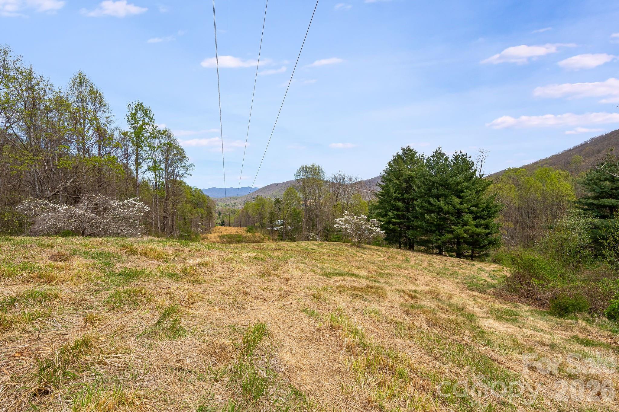 92 Rose Hill Road Asheville, NC 28803 - Photo 39 of 44