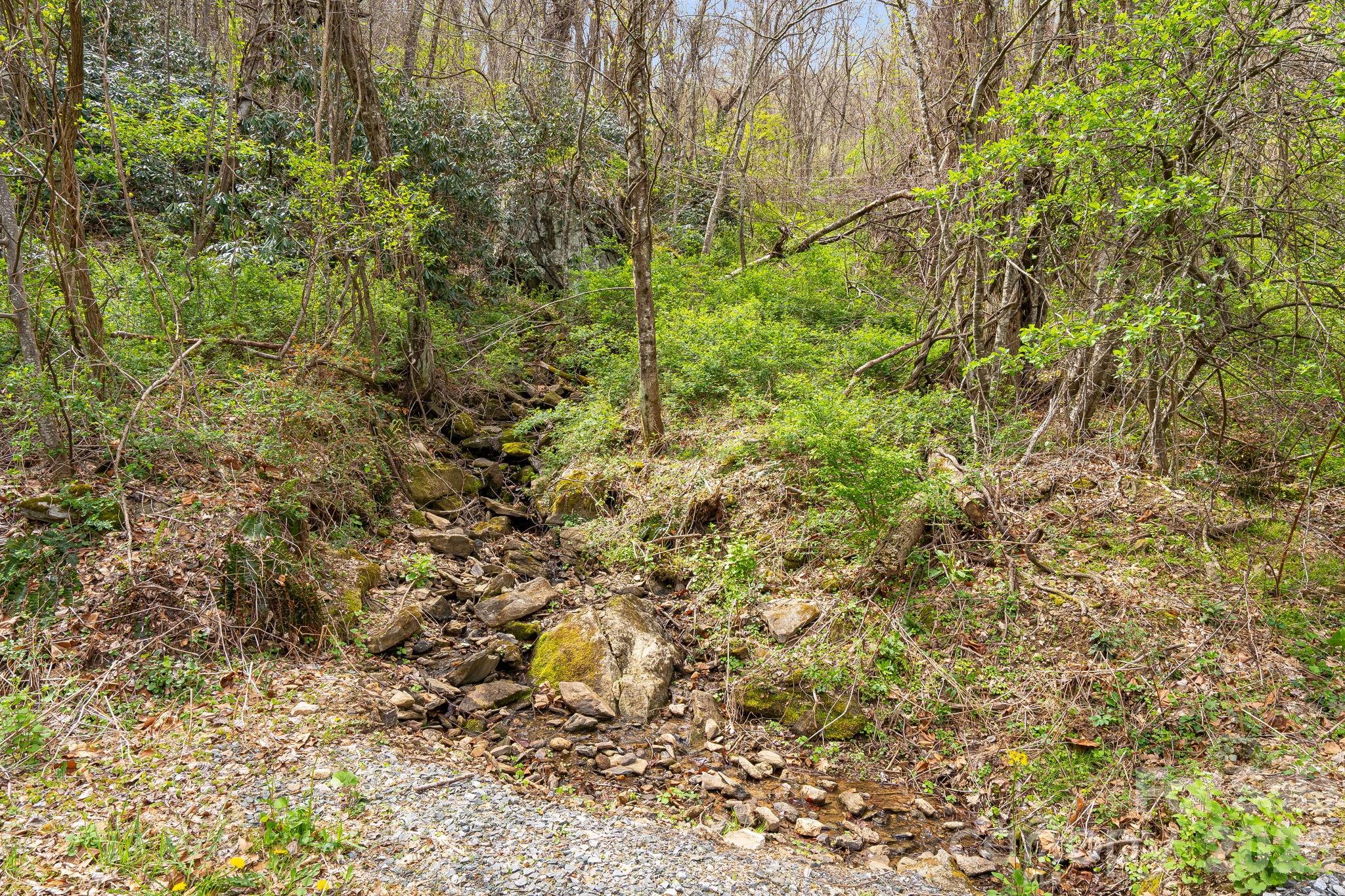 92 Rose Hill Road Asheville, NC 28803 - Photo 41 of 44