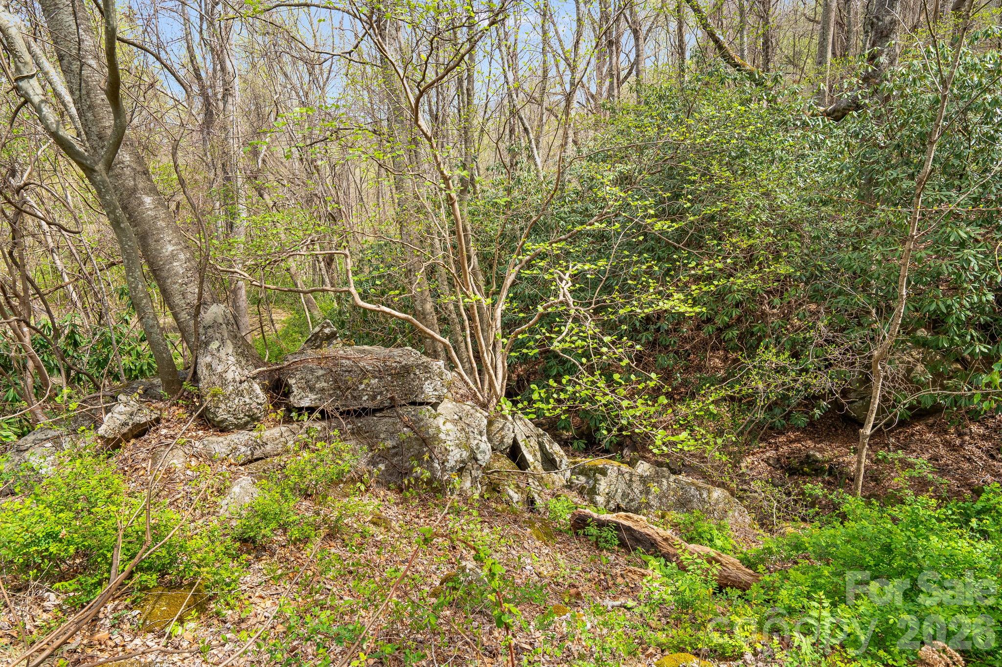 92 Rose Hill Road Asheville, NC 28803 - Photo 42 of 44