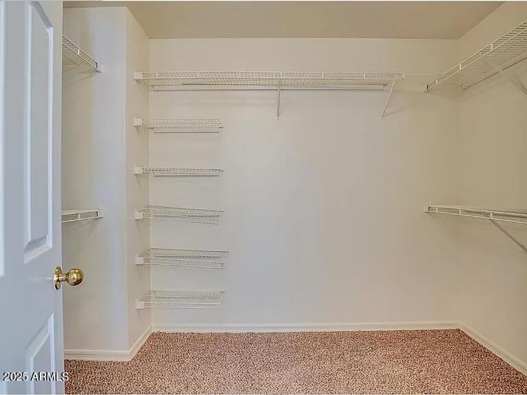 16625 South 34th Way Phoenix, AZ 85048 - Photo 13 of 36 a view of walk in closet with empty racks