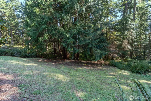 a view of a yard with a tree