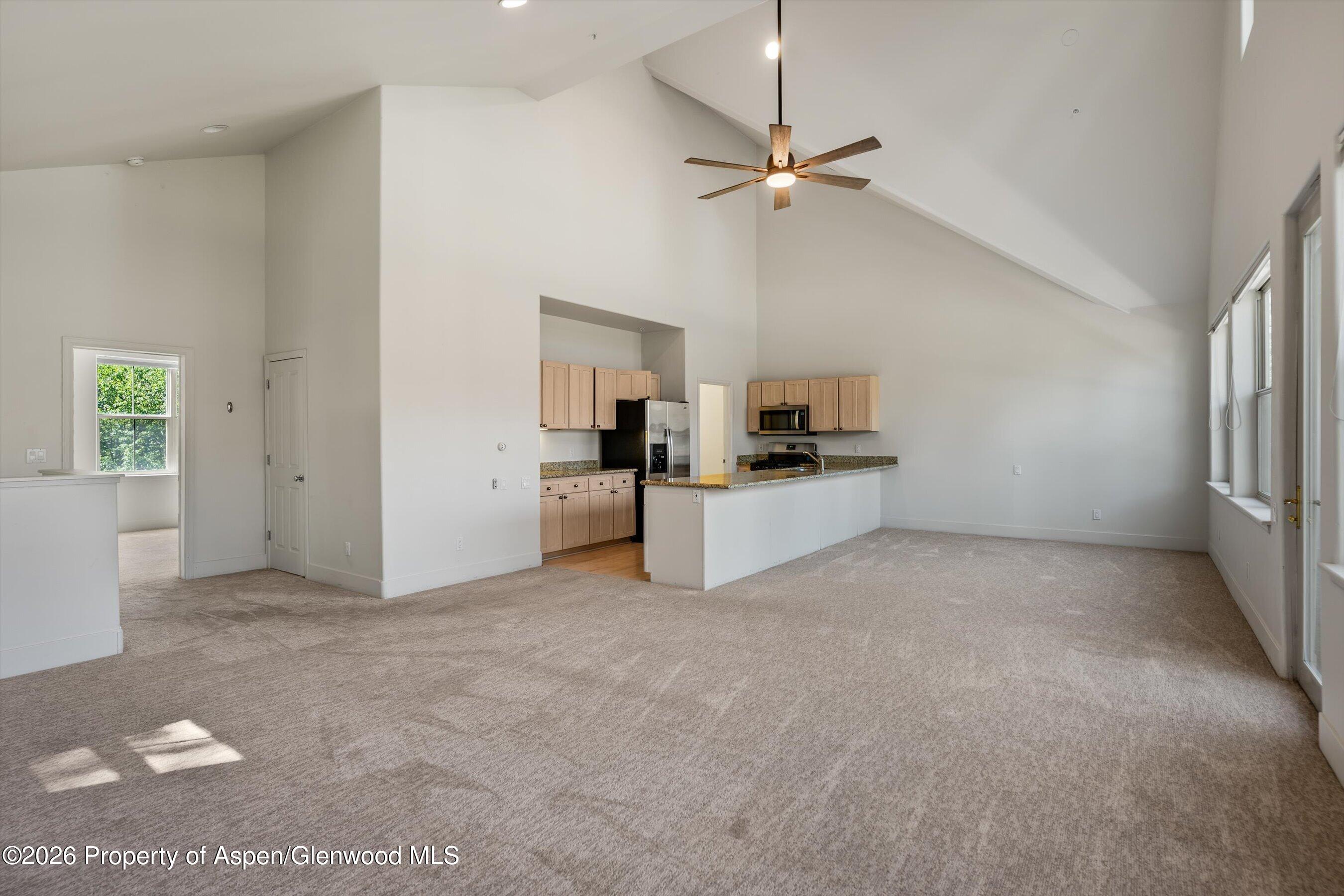 711 Evans Court Basalt, CO 81621 - Photo 5 of 31 16-711EvansCt_26061916