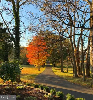 $10,888,000 | 5966 Mechanicsville Road, Doylestown, PA 18902