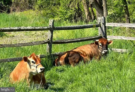 $10,888,000 | 5966 Mechanicsville Road, Doylestown, PA 18902