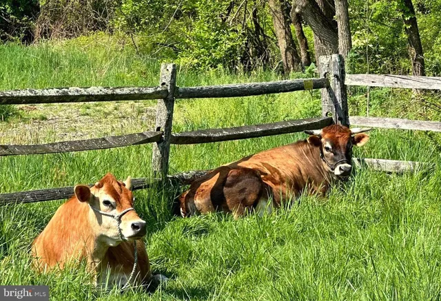 $10,888,000 | 5966 Mechanicsville Road, Doylestown, PA 18902