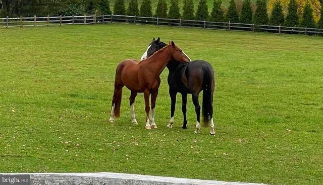 $10,888,000 | 5966 Mechanicsville Road, Doylestown, PA 18902