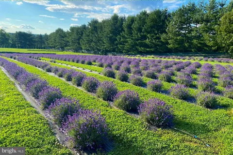 $10,888,000 | 5966 Mechanicsville Road, Doylestown, PA 18902