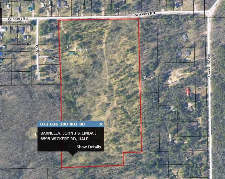 6595 Wickert Road Hale, MI 48739 - Photo 3 of 26