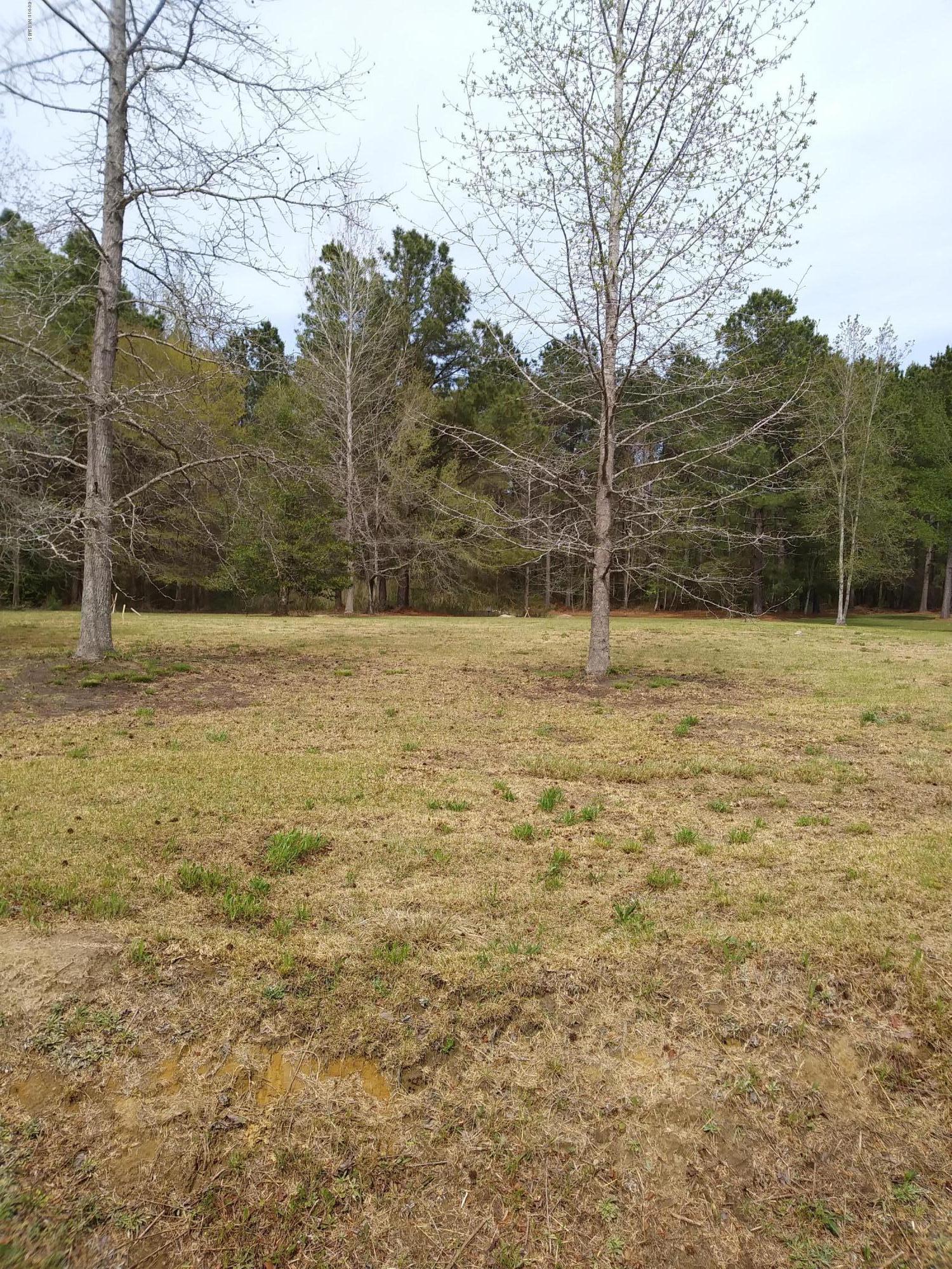 2513 Rooks Road Atkinson, NC 28421 - Photo 3 of 6 front lot 2
