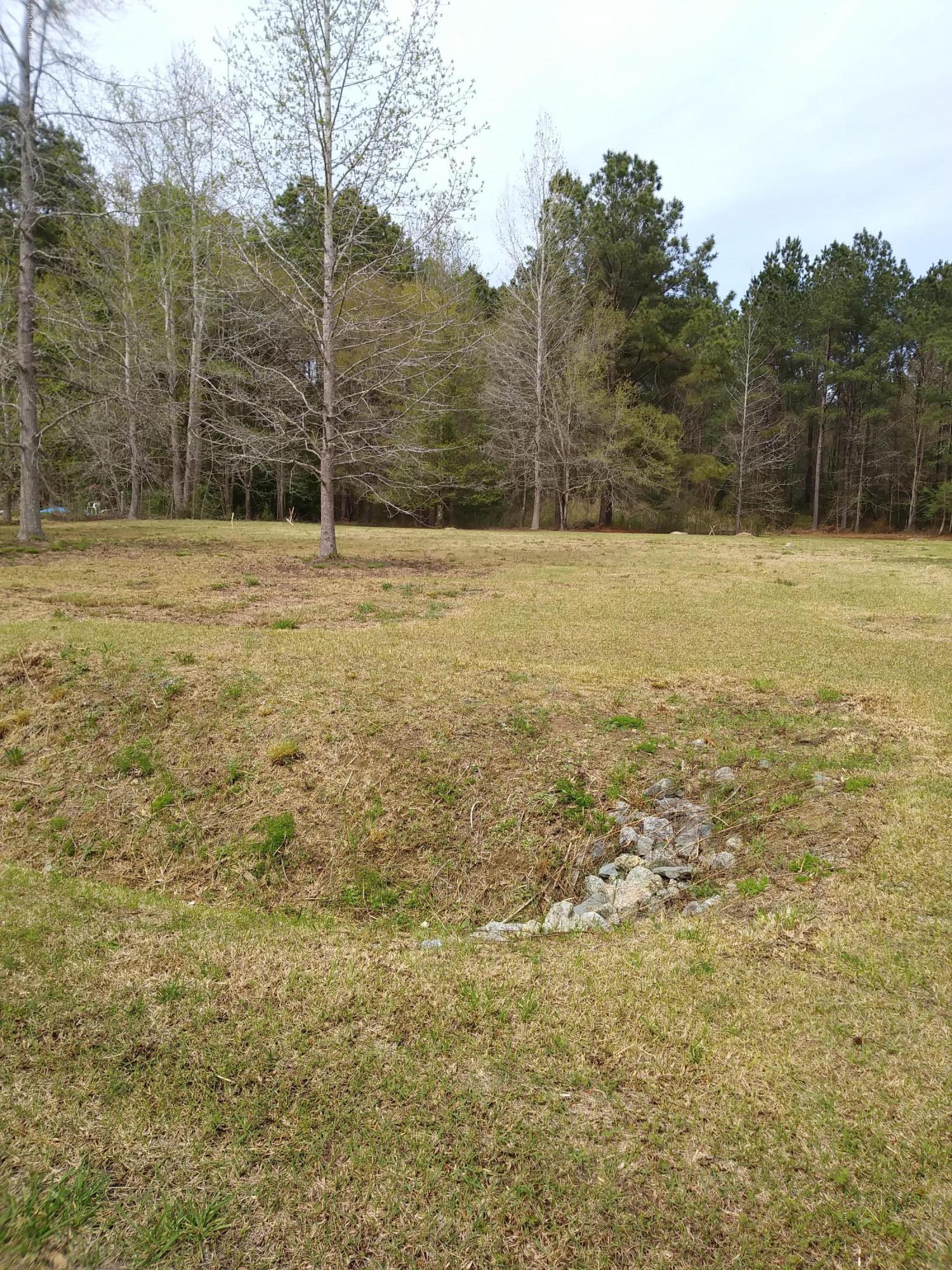 2513 Rooks Road Atkinson, NC 28421 - Photo 4 of 6 front of lot