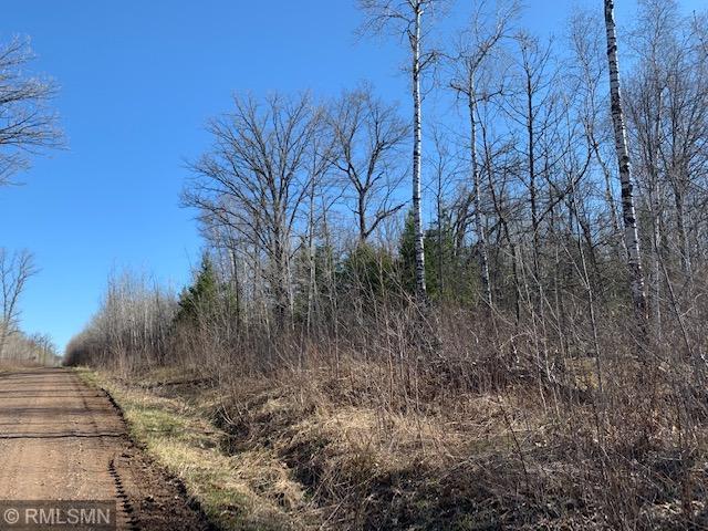 54-xxx Condor Road Sandstone, MN 55072 - Photo 1 of 1 Gallery Image 1