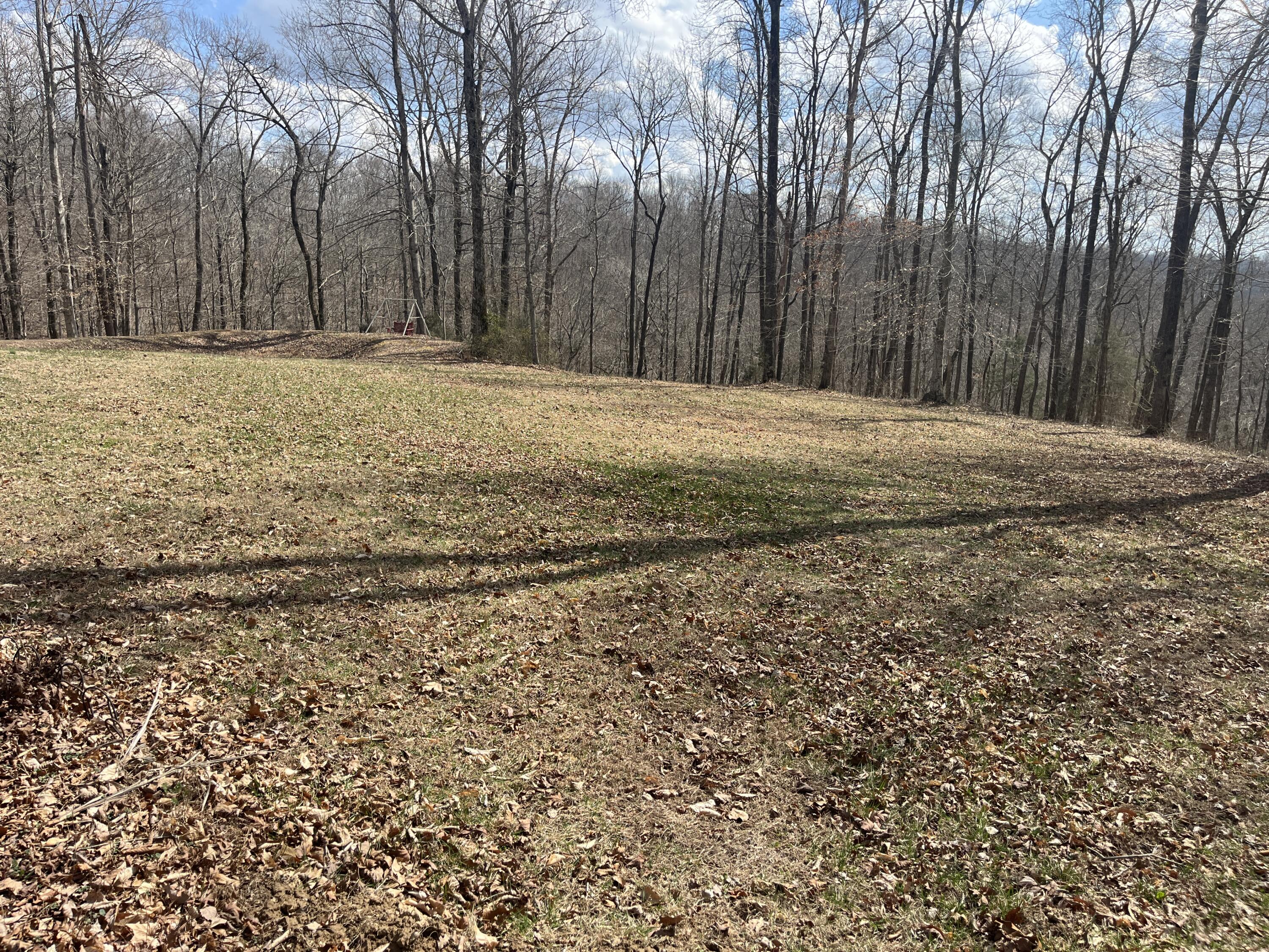 3275 Chance Road Breeding, KY 42715 - Photo 52 of 63 IMG_1966