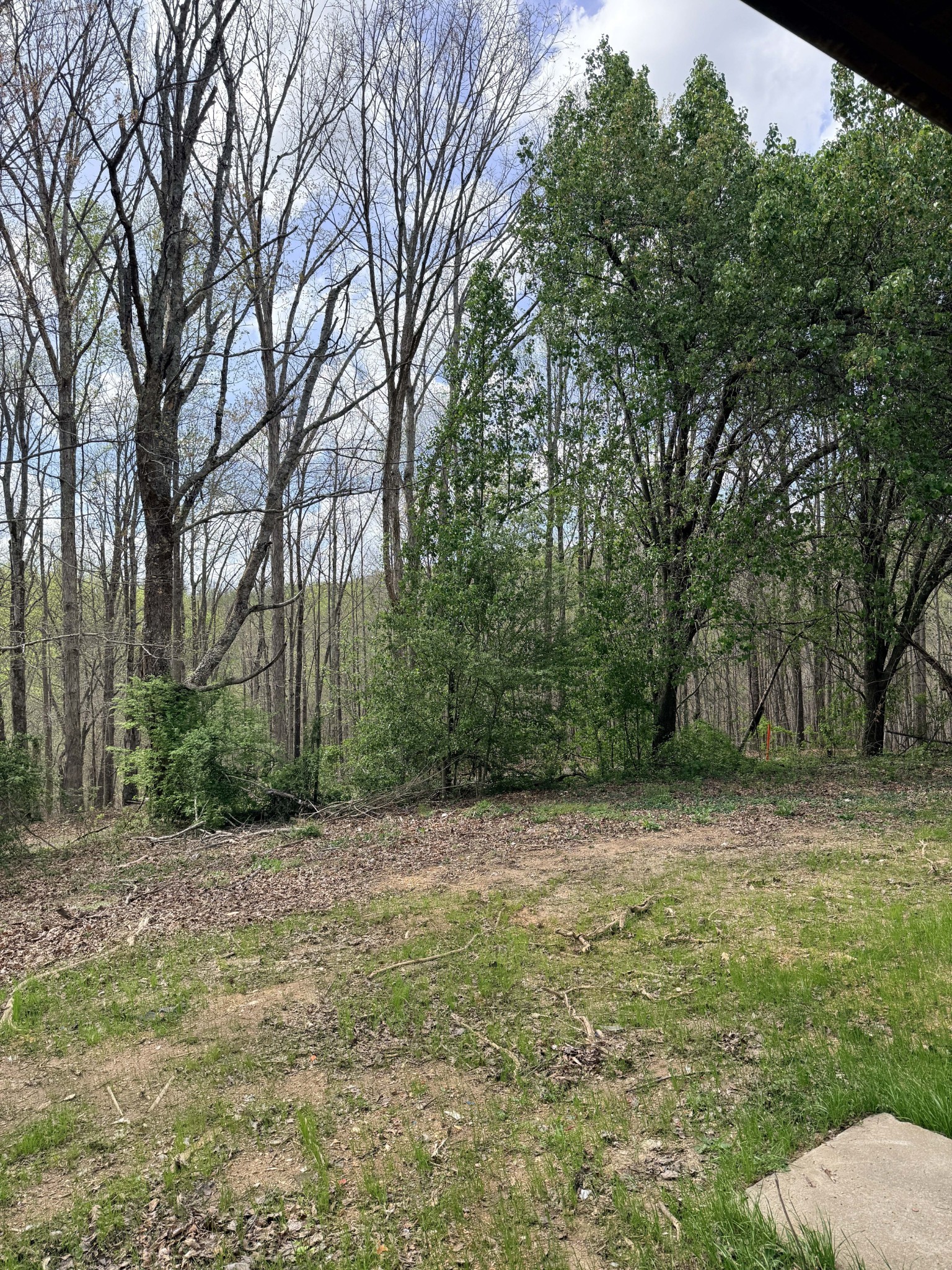 935 Sugar Tree Knob Road Liberty, TN 37095 - Photo 21 of 23