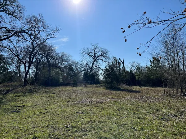 a view of a yard with trees