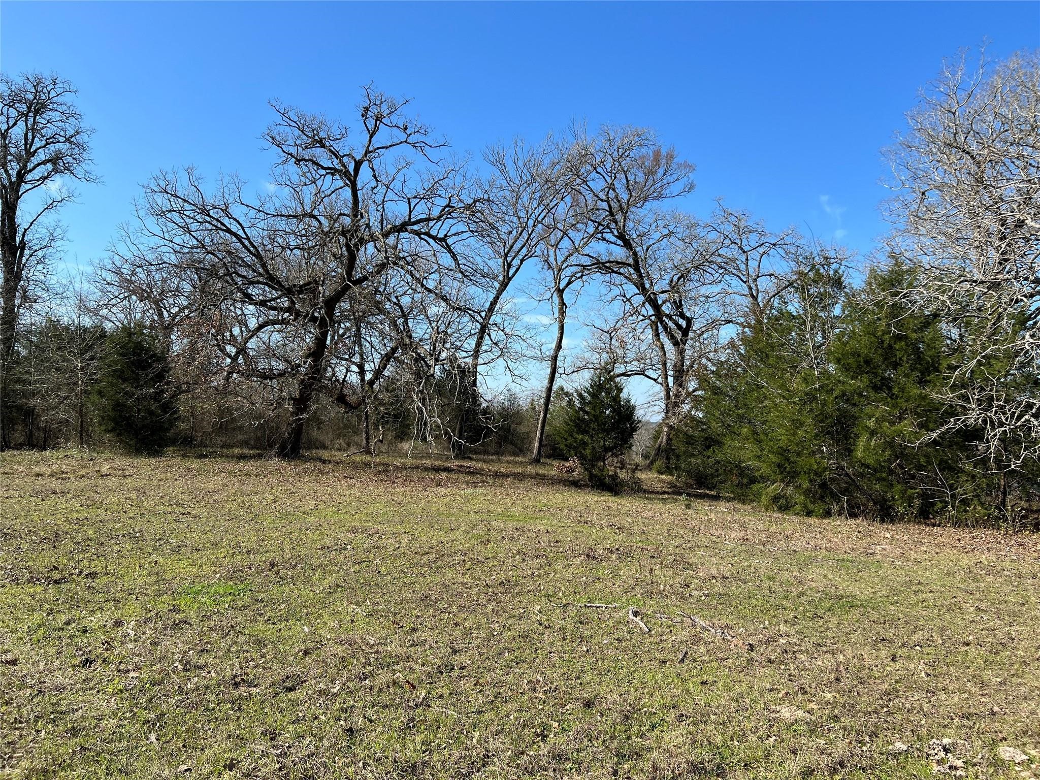 19285 Moriarty Road Richards, TX 77873 - Photo 2 of 12 a backyard of a house with lots of green space