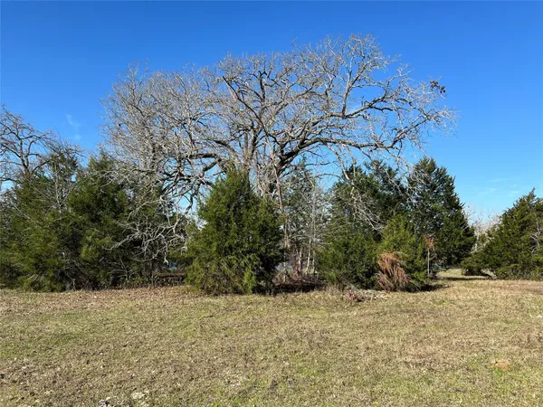 a backyard of a house with large trees