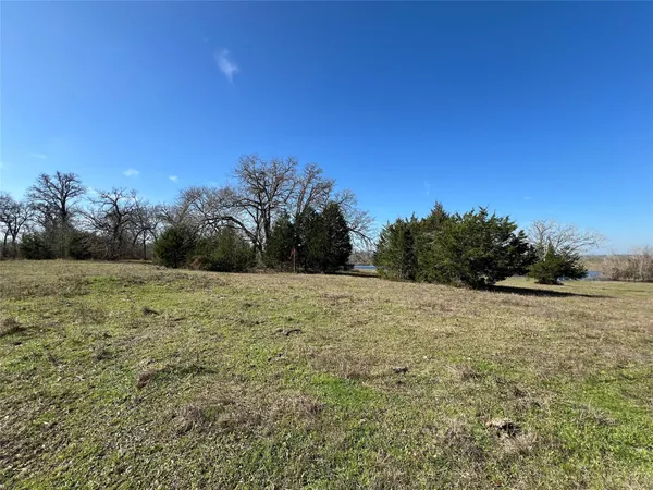 a big yard with lots of green space