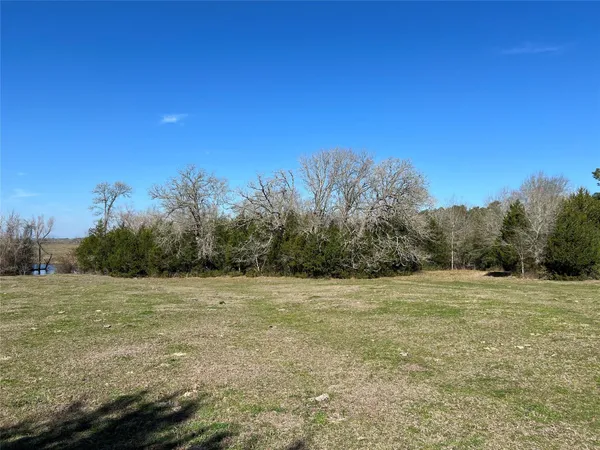 a view of a green field with trees in the background