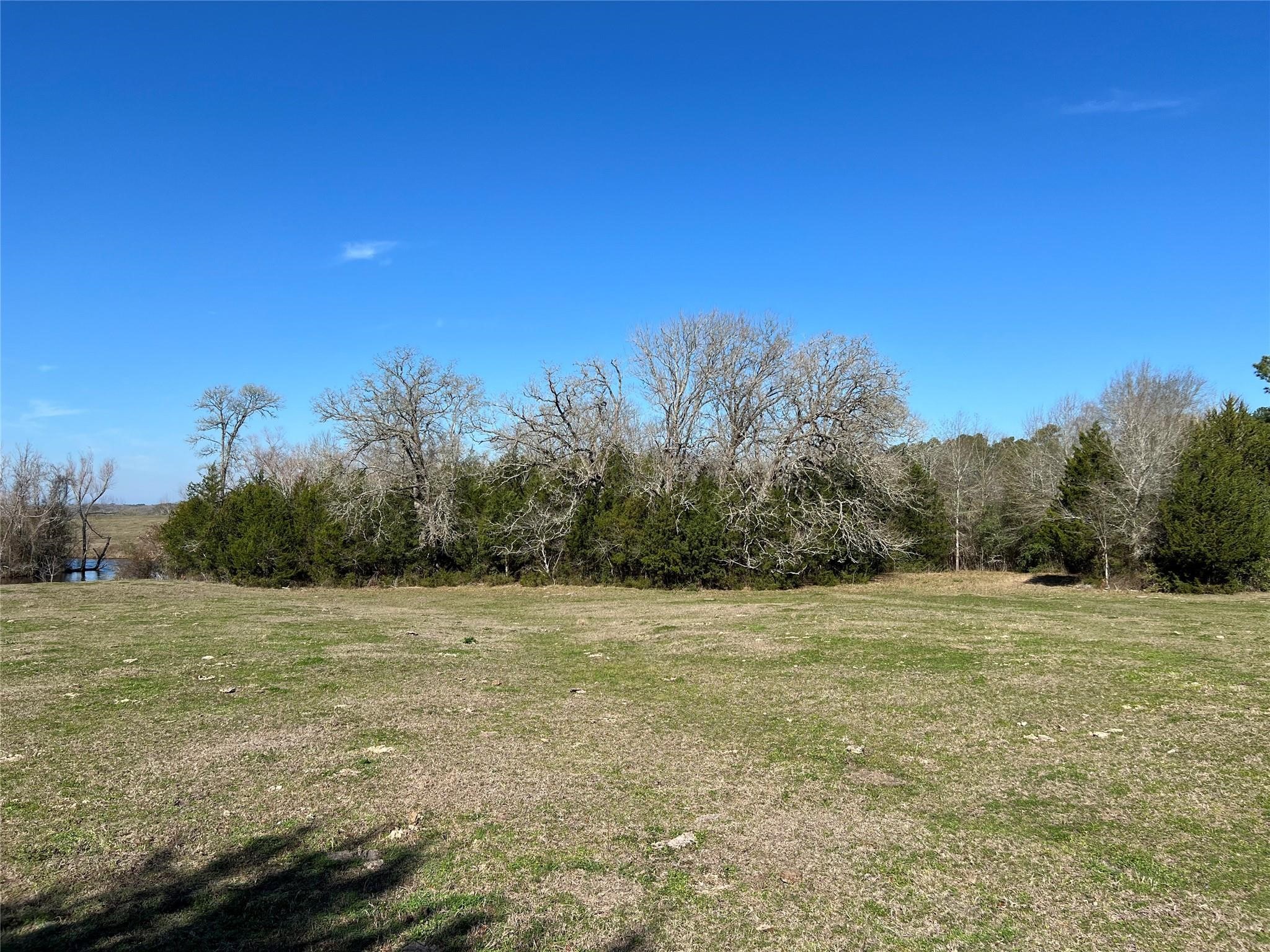 19285 Moriarty Road Richards, TX 77873 - Photo 5 of 12 a view of a green field with trees in the background