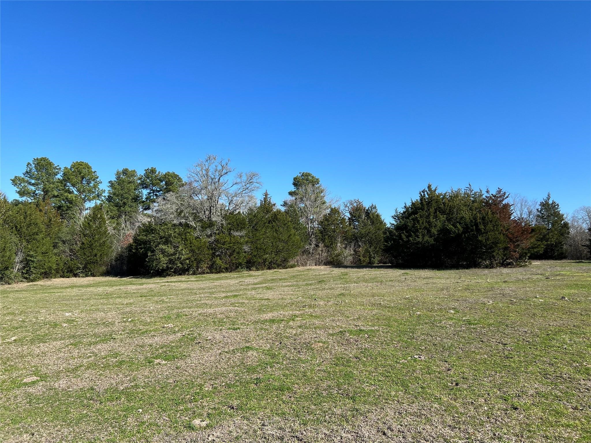 19285 Moriarty Road Richards, TX 77873 - Photo 6 of 12 a view of an outdoor space and a yard