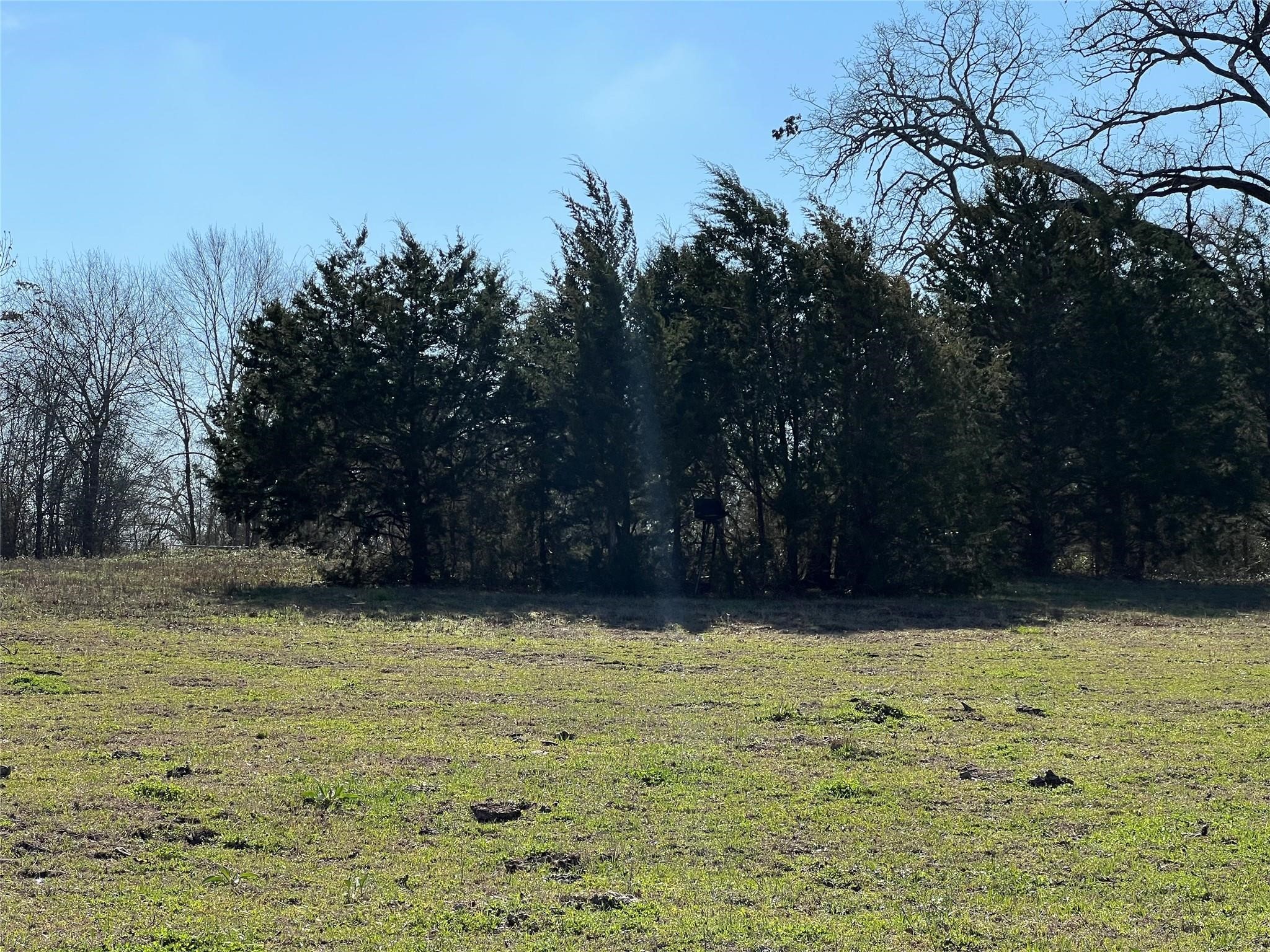 19285 Moriarty Road Richards, TX 77873 - Photo 7 of 12 a view of a yard