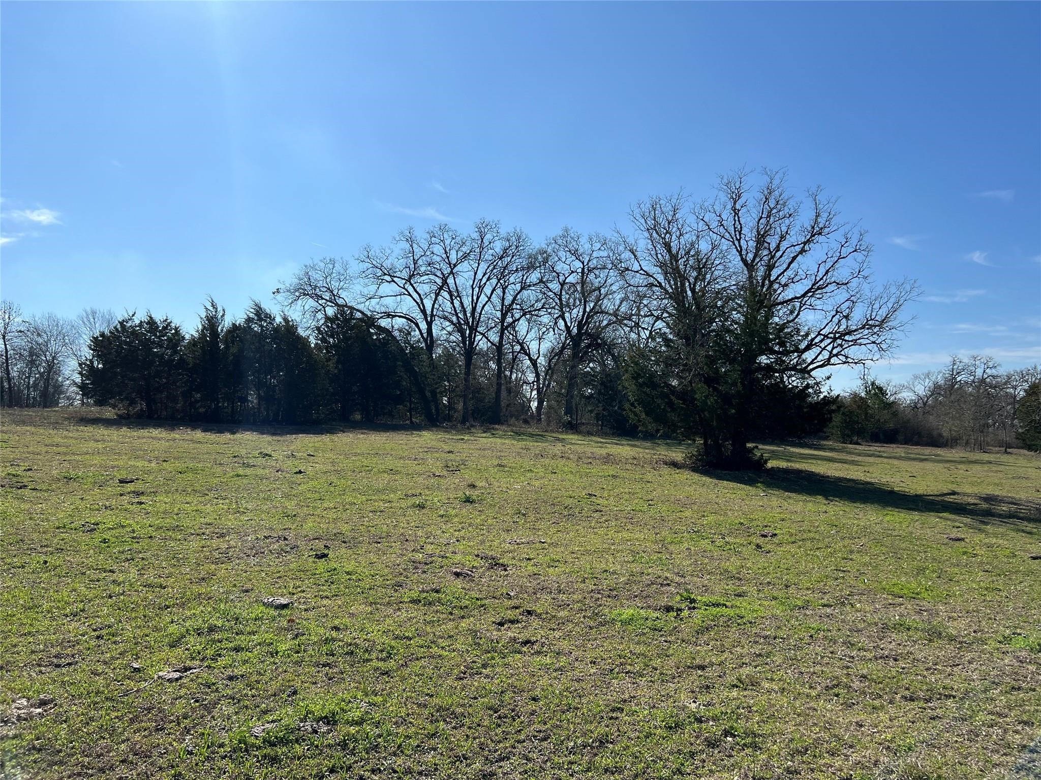 19285 Moriarty Road Richards, TX 77873 - Photo 8 of 12 a view of a yard