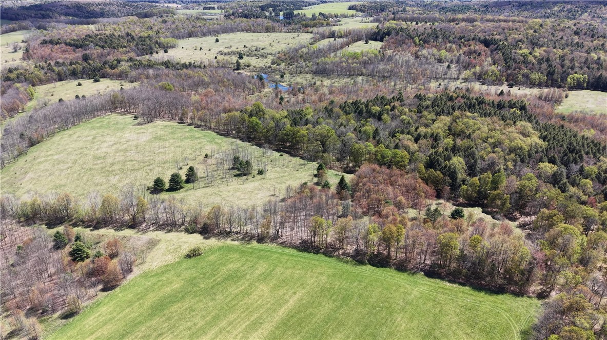 328 Miller Road Pittsfield, NY 13411 - Photo 39 of 50