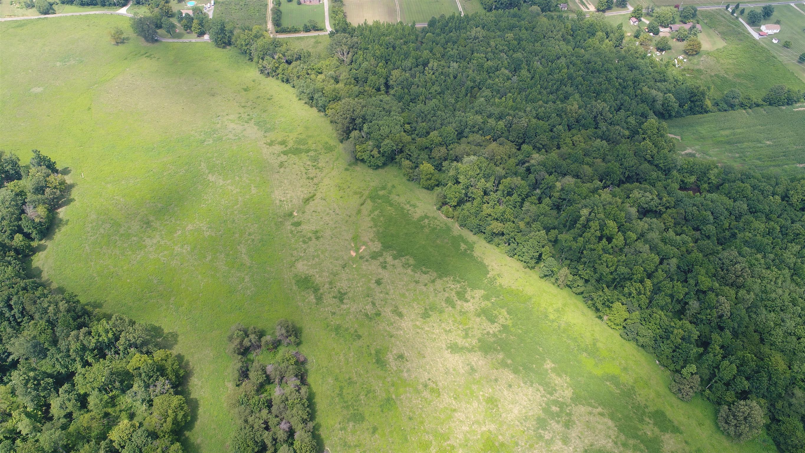 3 Hugh Woodard Road Springfield, TN 37172 - Photo 2 of 5 a view of a big yard with lots of green space