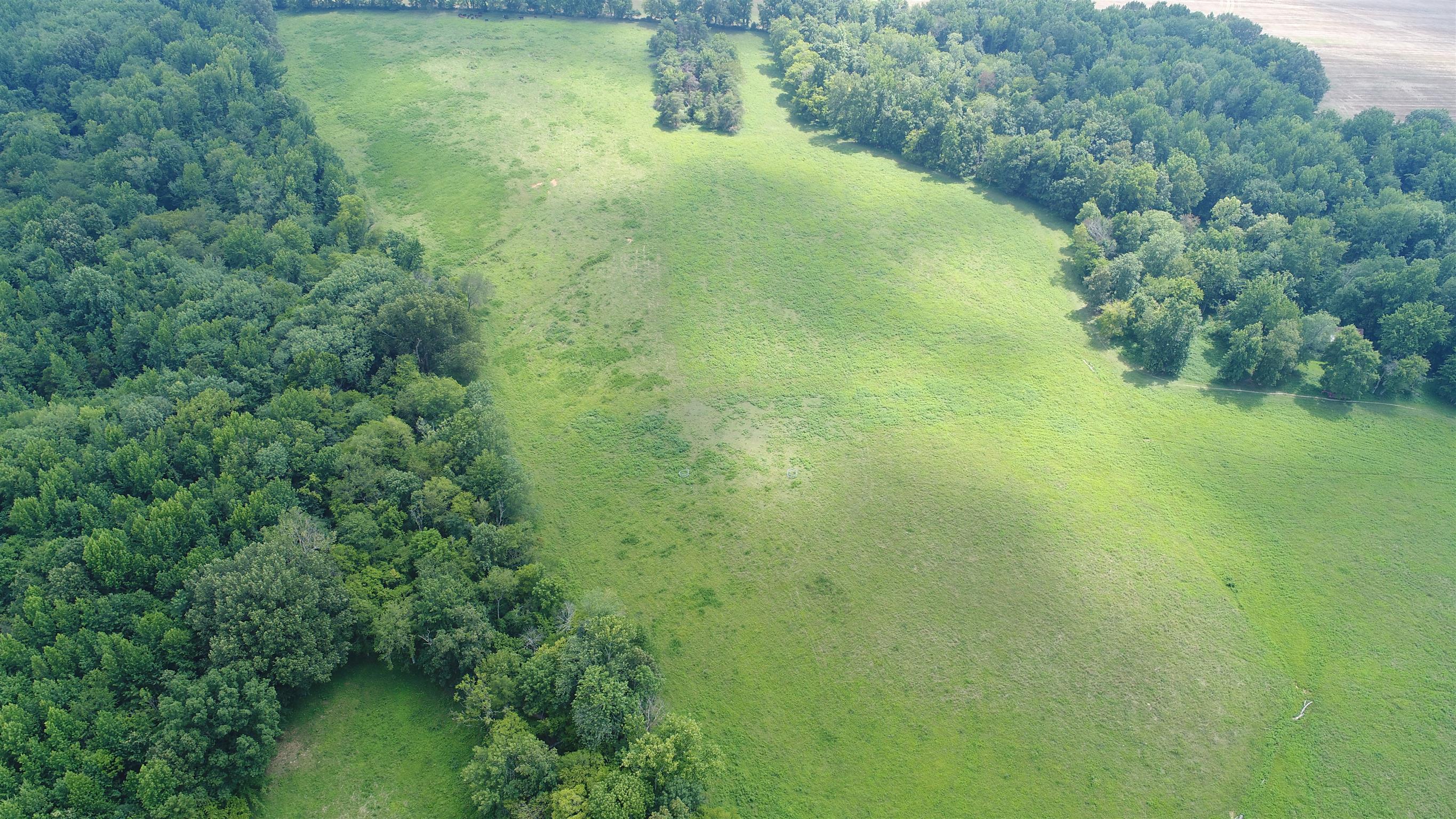 3 Hugh Woodard Road Springfield, TN 37172 - Photo 4 of 5 a view of a big yard with green space