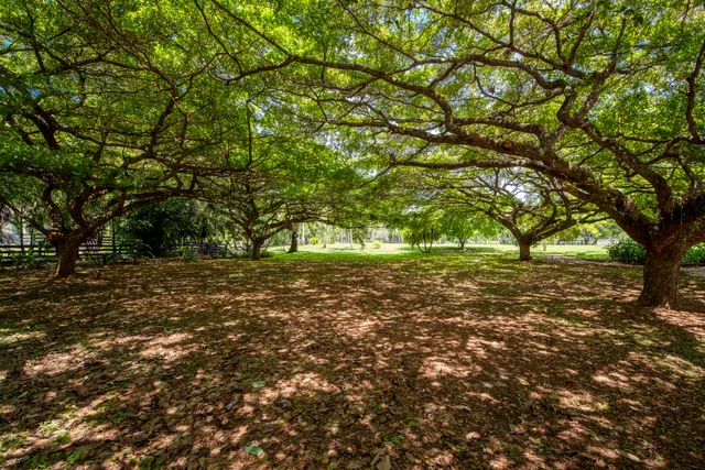 $3,994,970 | 13395 Running Water Road, Palm Beach Gardens, FL 33418