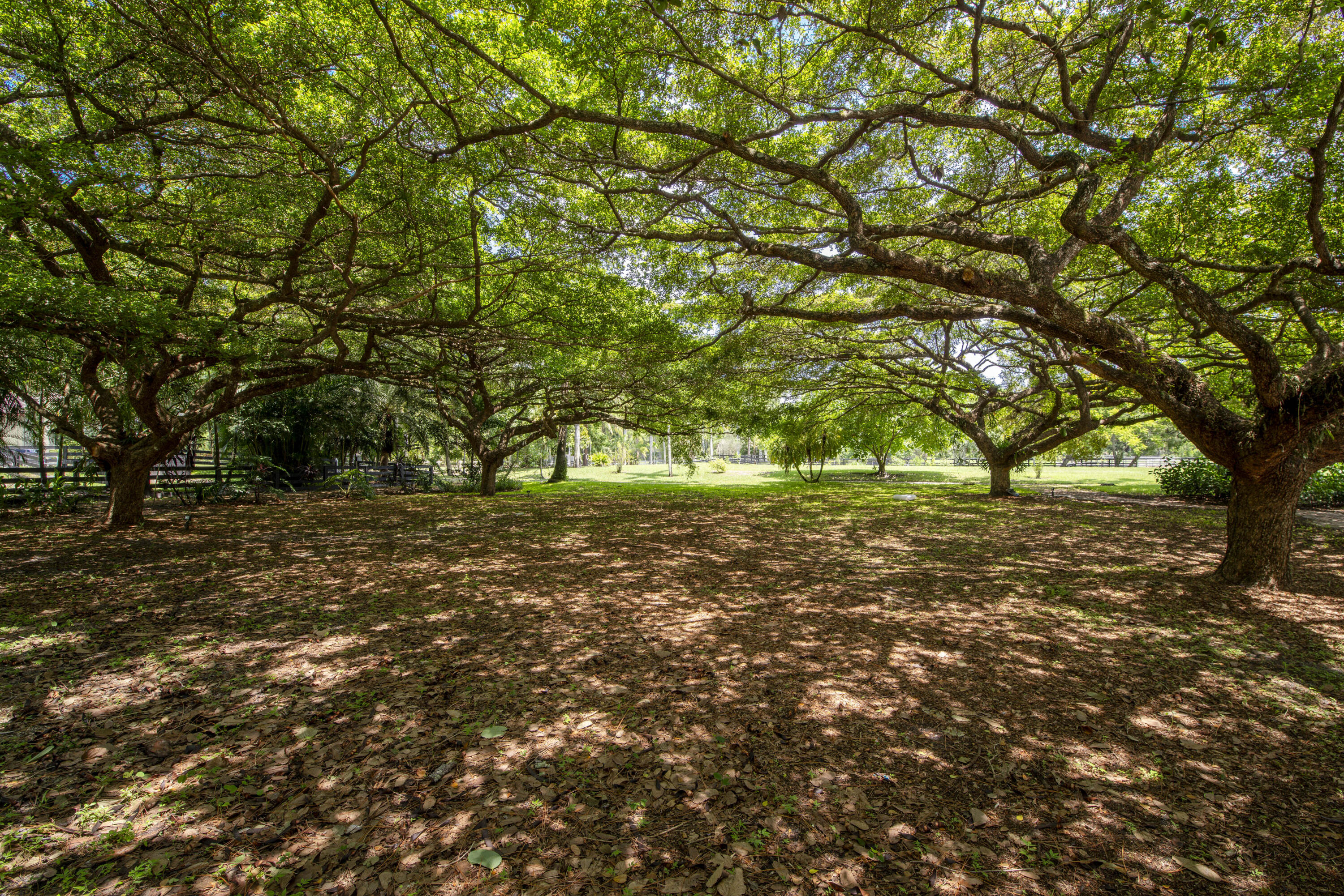 13395 Running Water Road Palm Beach Gardens, FL 33418 - Photo 82 of 112 _IMG1253