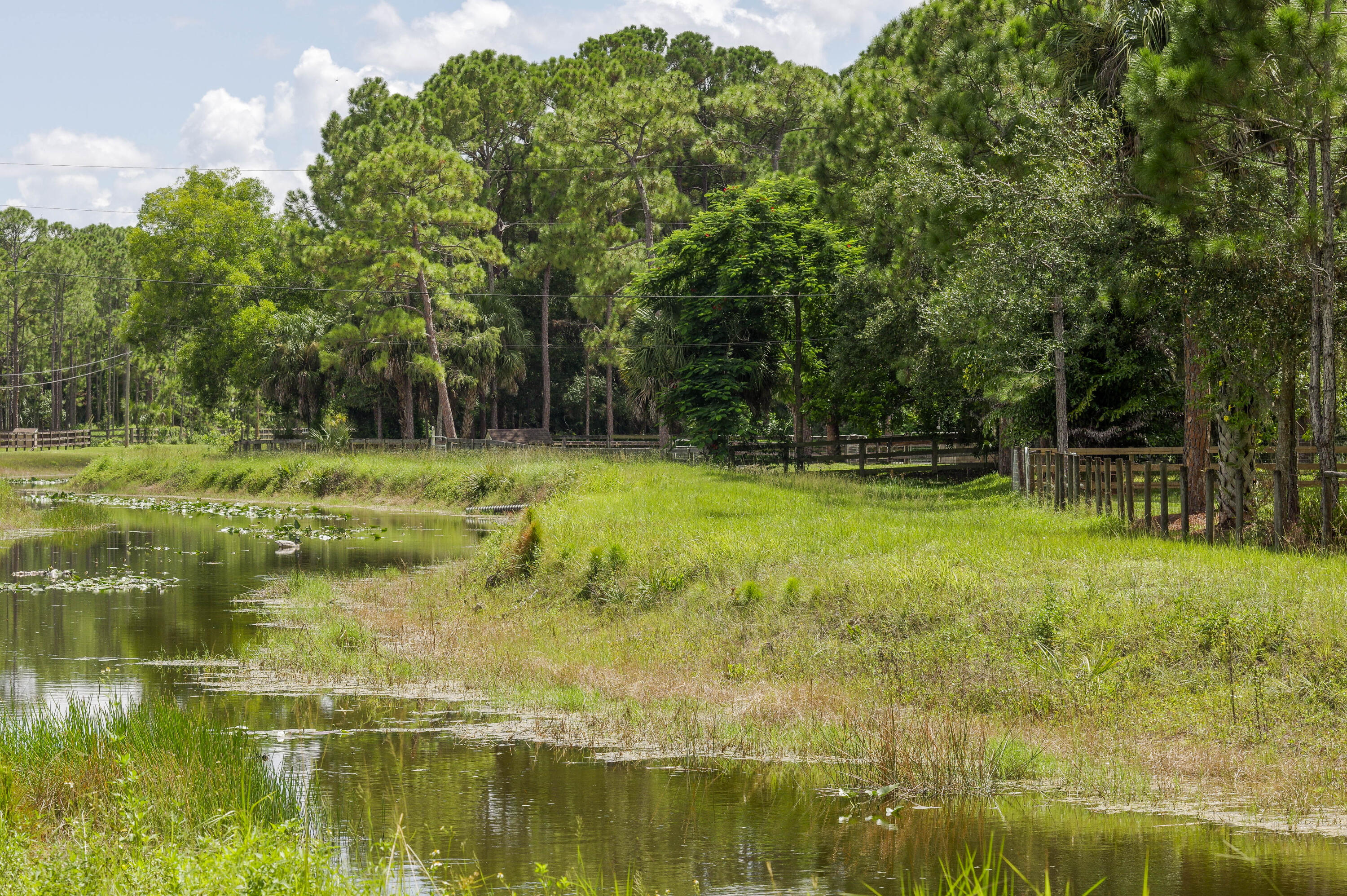 13395 Running Water Road Palm Beach Gardens, FL 33418 - Photo 94 of 112 _IMG4313