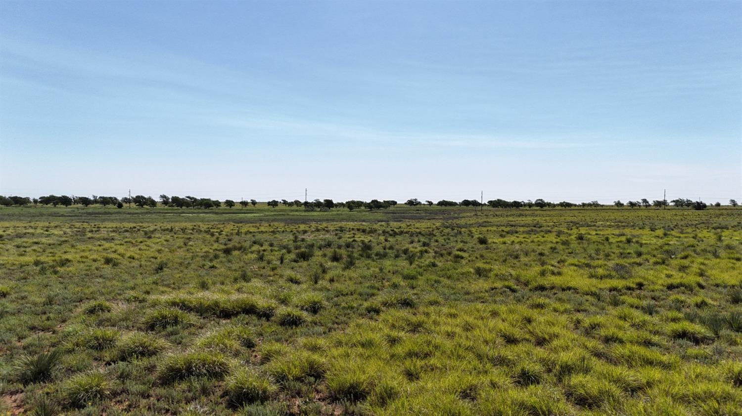 0 Co Road Morton, TX 79346 - Photo 13 of 25 Photo 13
