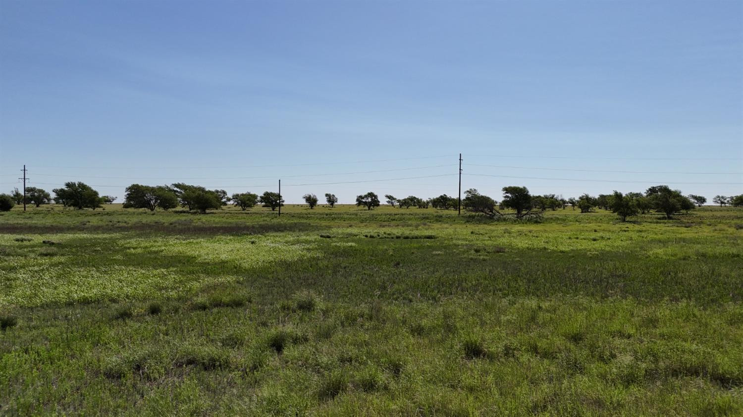 0 Co Road Morton, TX 79346 - Photo 21 of 25 Photo 21