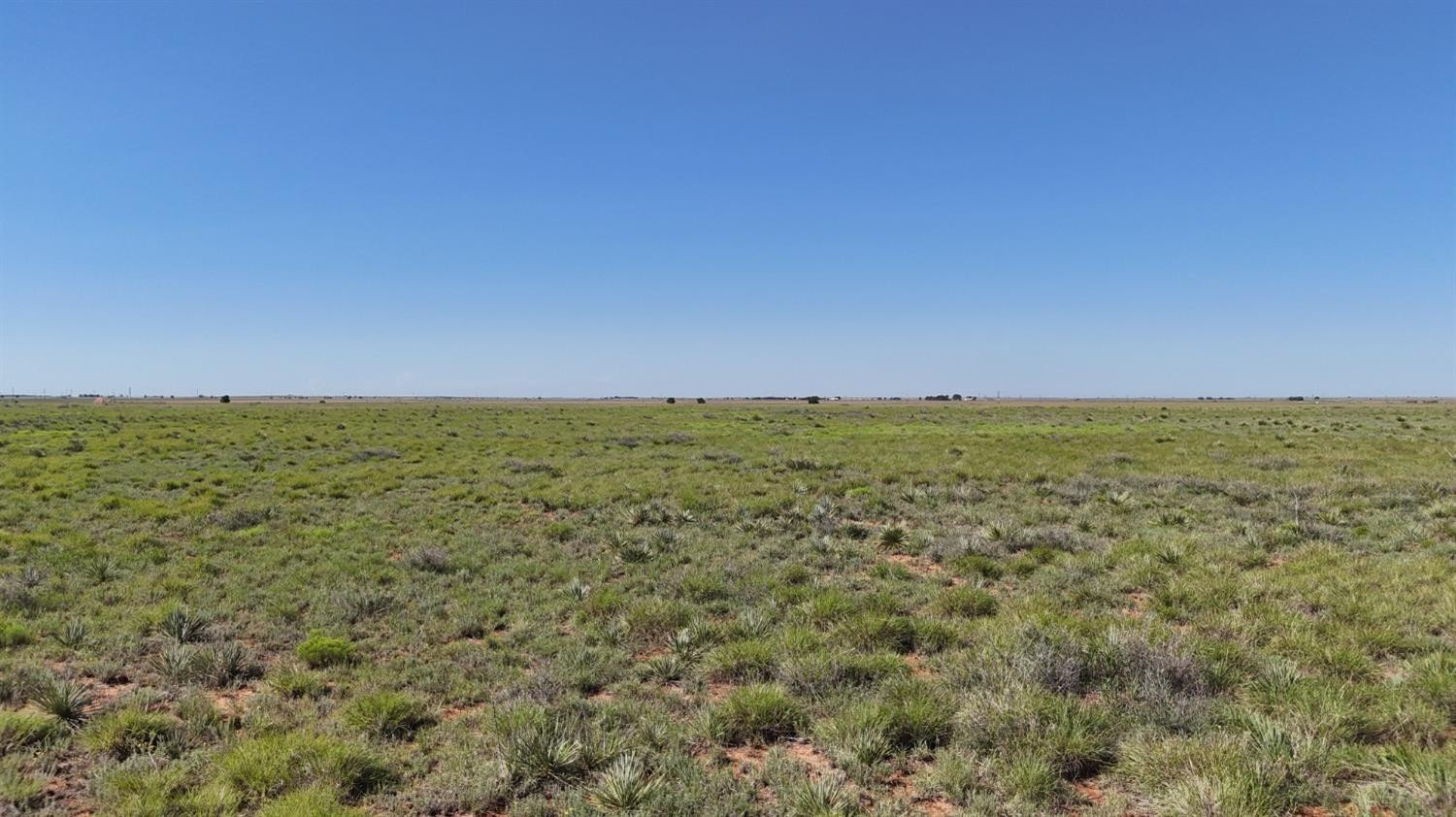 0 Co Road Morton, TX 79346 - Photo 10 of 25 Photo 10