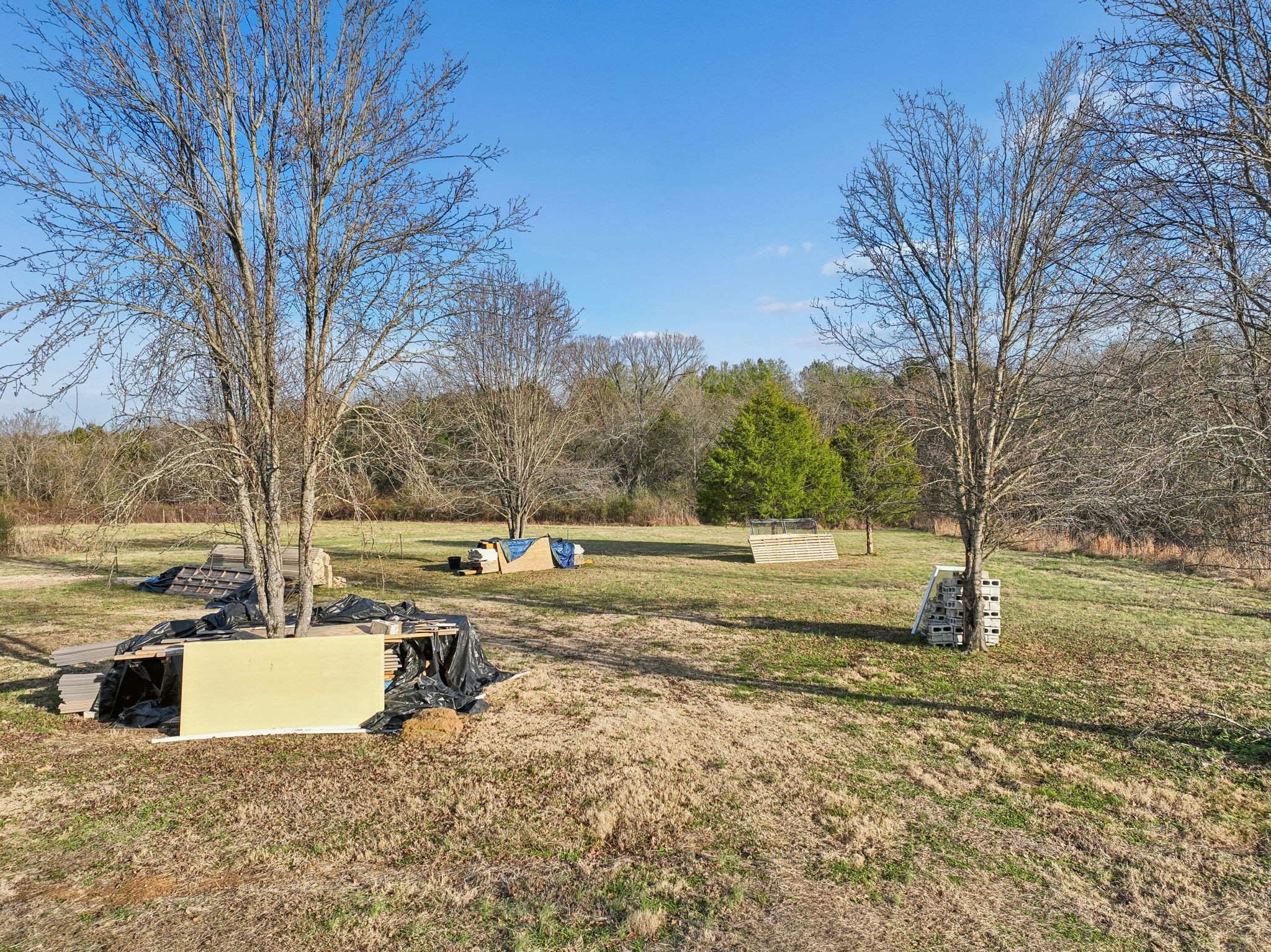 4155 Swindle Hollow Road Lebanon, TN 37090 - Photo 17 of 27 a view of a yard with trees