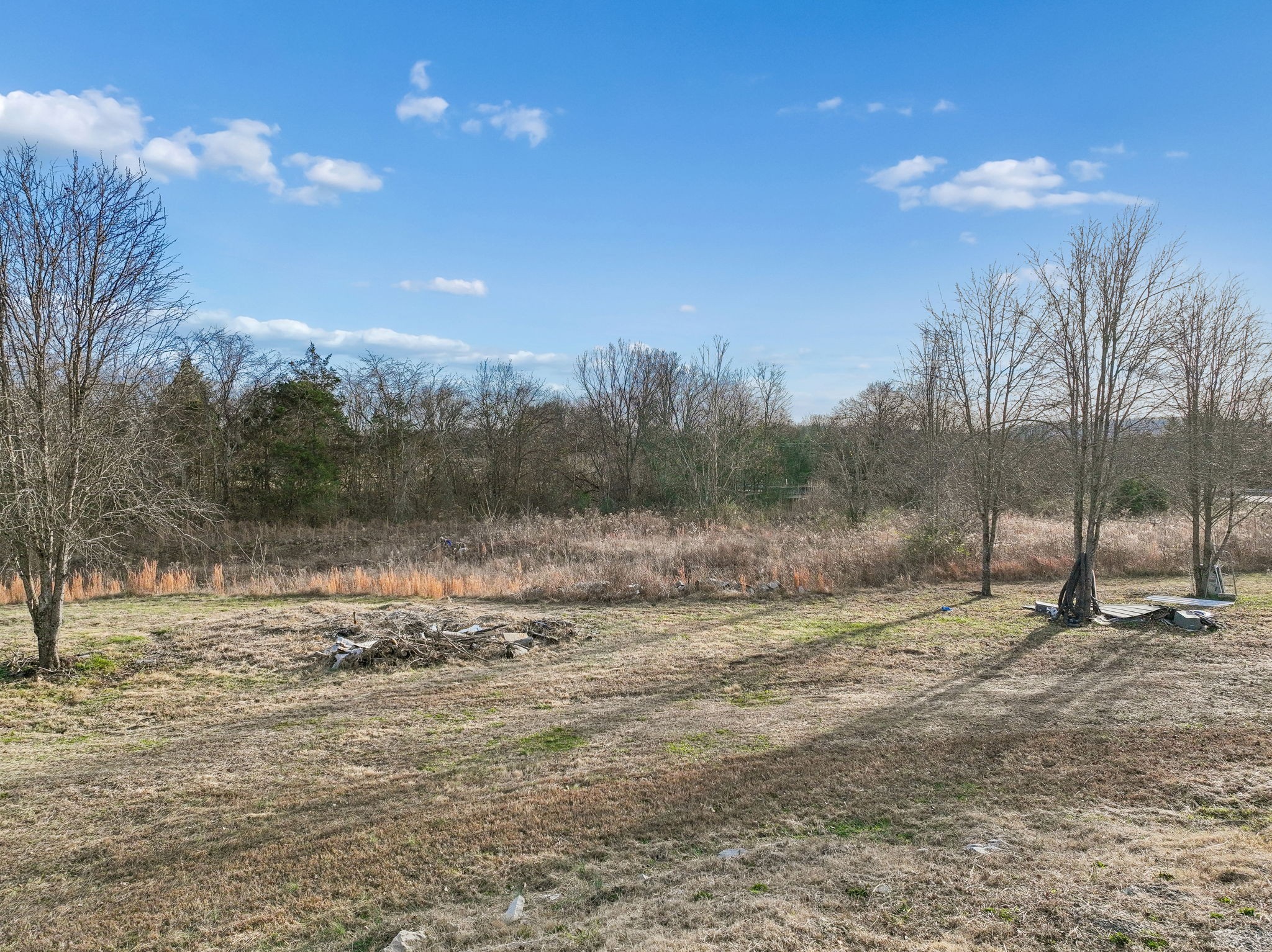 4155 Swindle Hollow Road Lebanon, TN 37090 - Photo 10 of 27 a view of a yard with a tree