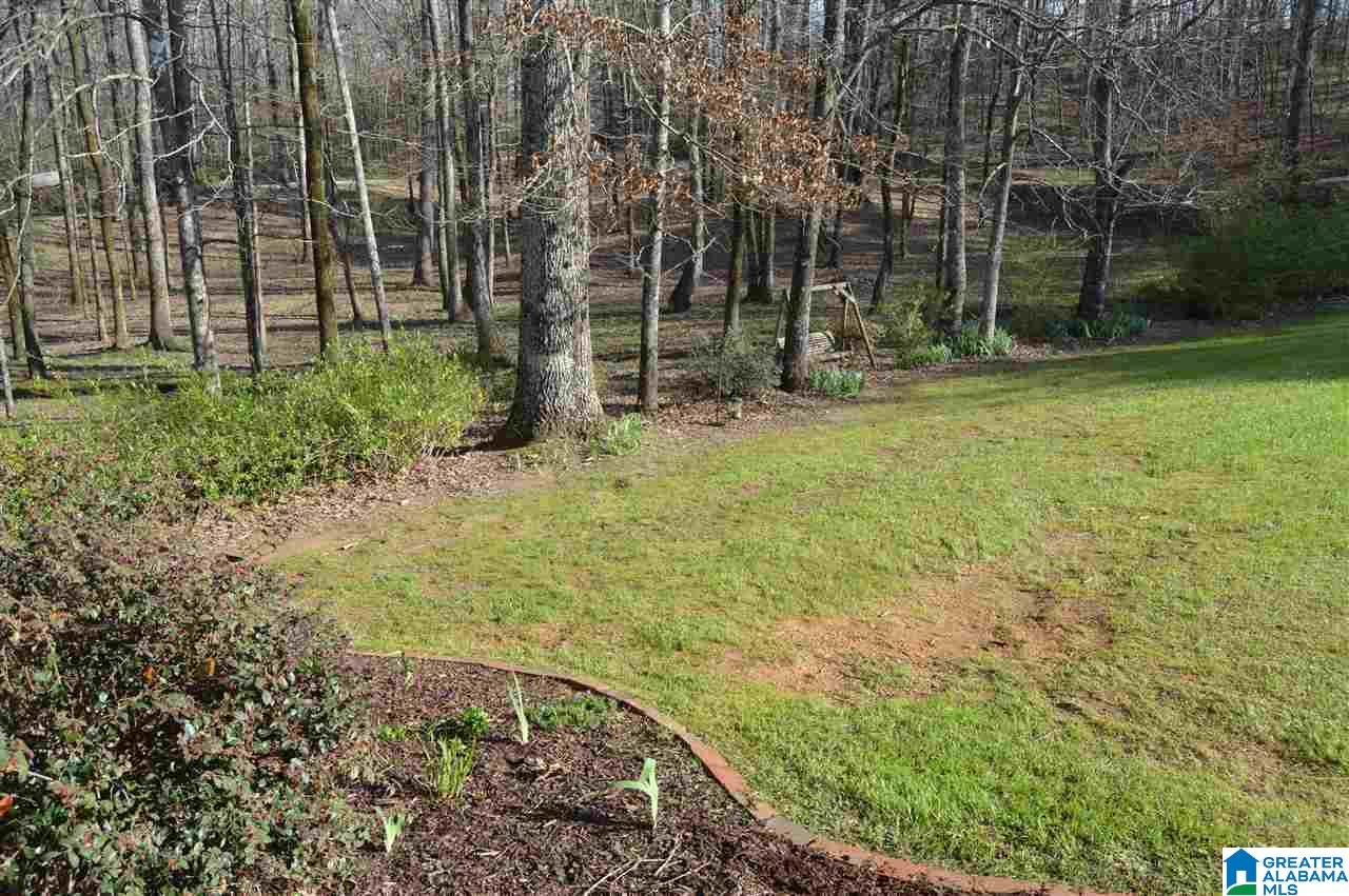 3337 Nail Road Warrior, AL 35180 - Photo 7 of 50