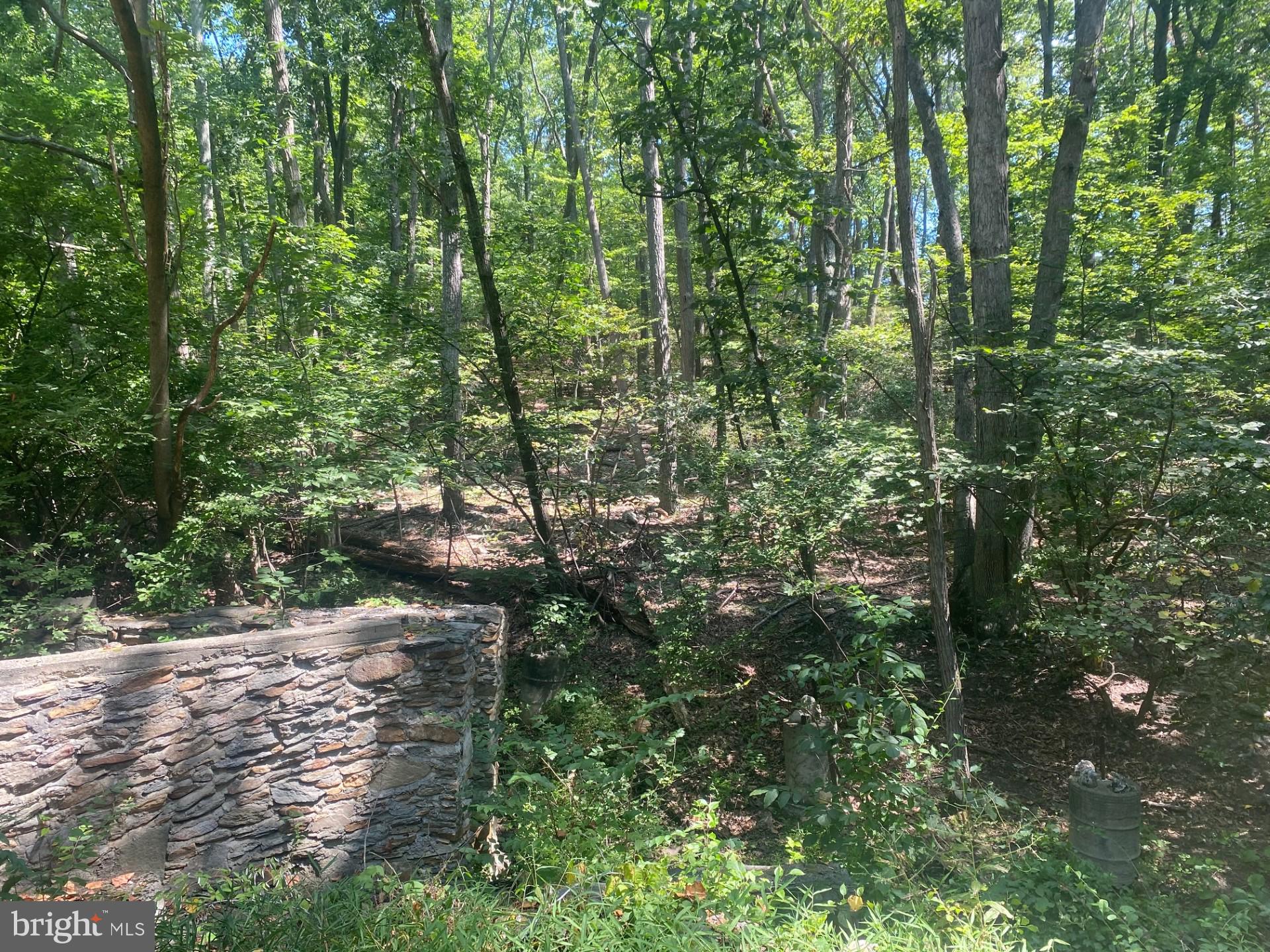 7125 Edgemont Road Frederick, MD 21702 - Photo 24 of 30 Rear Yard Overlooks Woods & A Stream