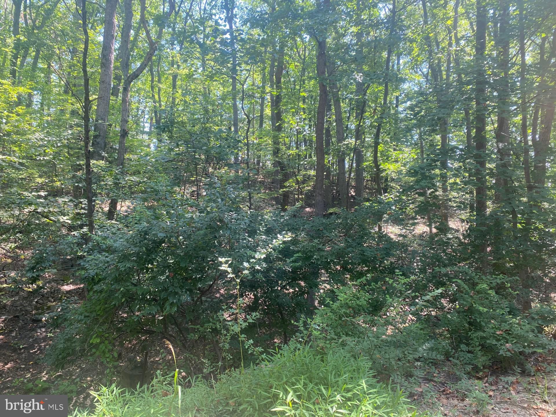 7125 Edgemont Road Frederick, MD 21702 - Photo 25 of 30 More Of The Rear Yard & Views