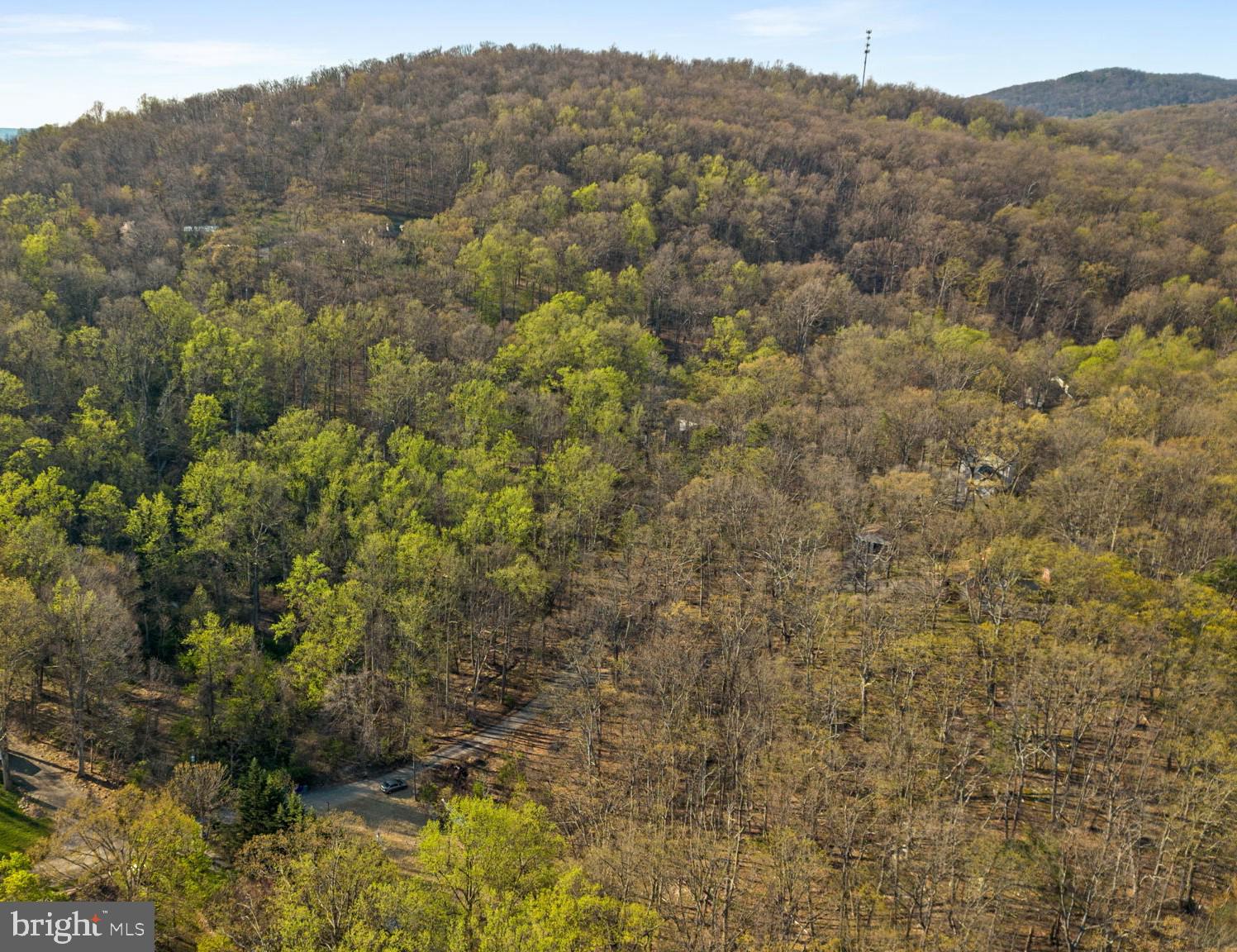 7125 Edgemont Road Frederick, MD 21702 - Photo 26 of 30 Aerial Of The Wooded Region Across The Street