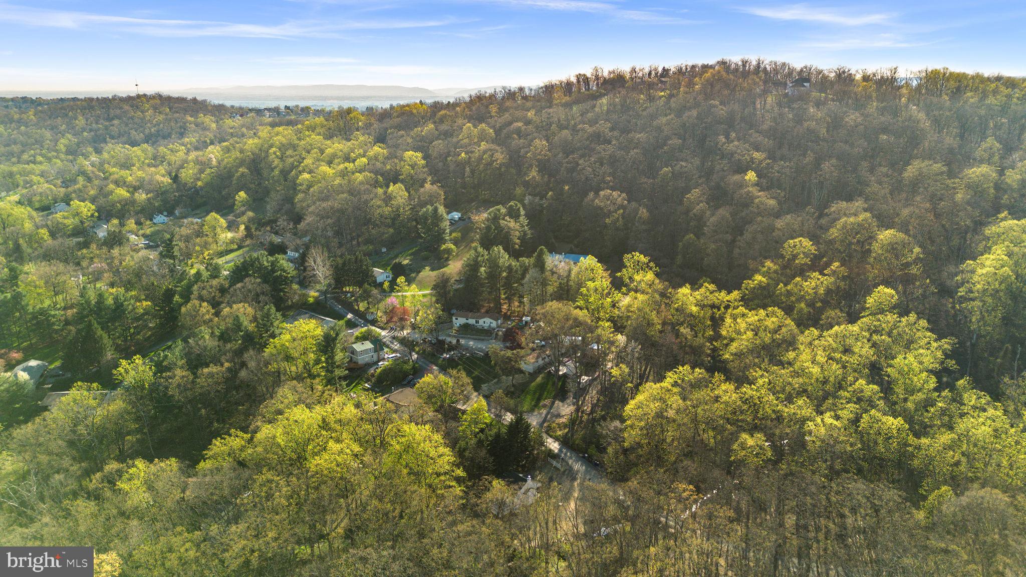 7125 Edgemont Road Frederick, MD 21702 - Photo 27 of 30 Majestic Wooded Skyline Across The Street
