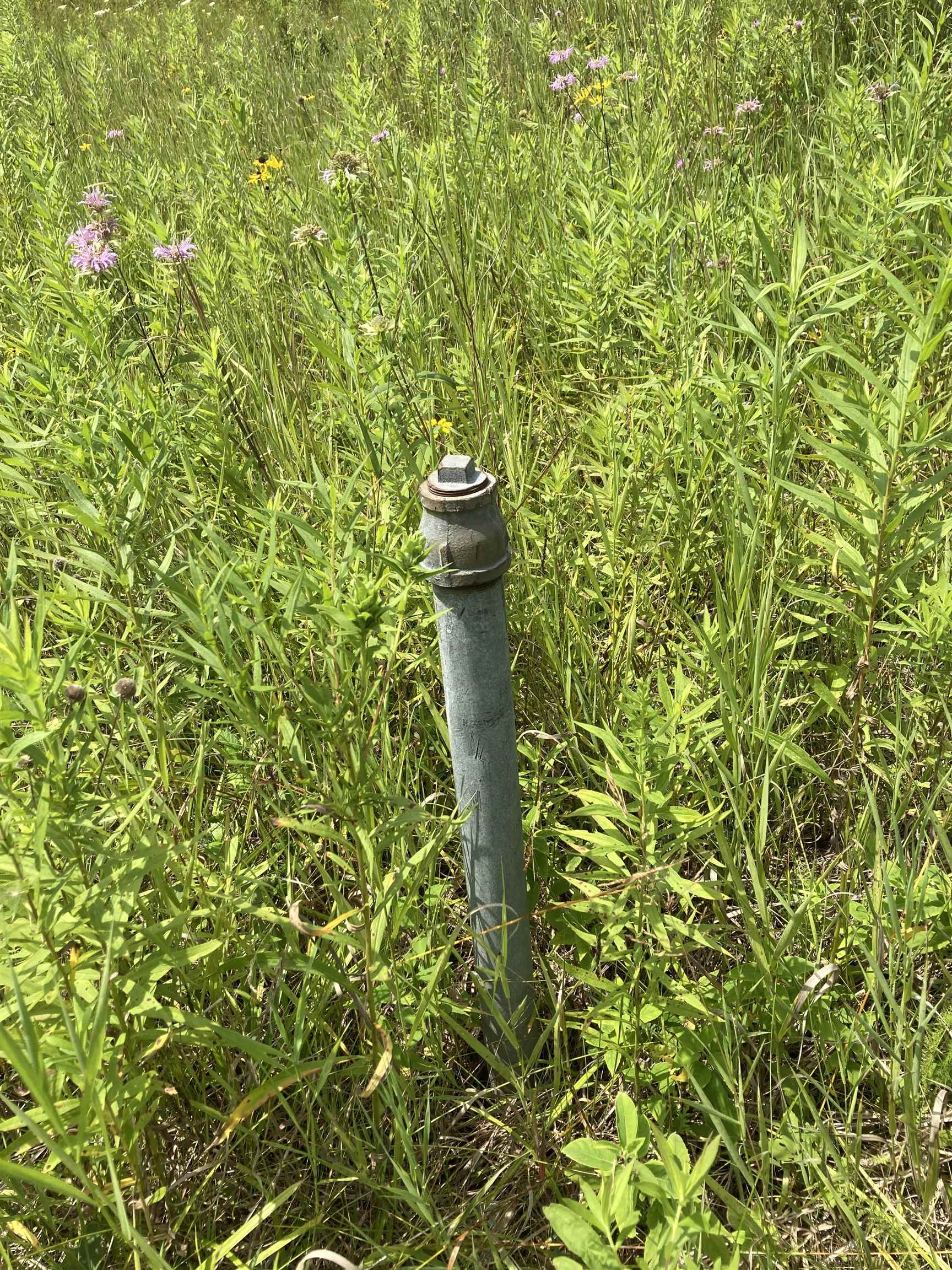 N/a Beachwood Road Rose City, MI 48654 - Photo 4 of 20 1947885-CEA55ECE-ADA5-468E-BAAA-A33FAEBA7881.JPG
