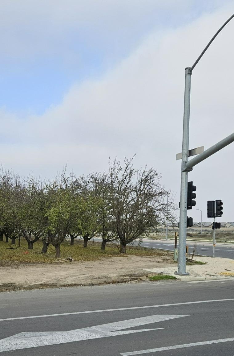 0 West Whitesbridge Avenue Kerman, CA 93630 - Photo 4 of 6