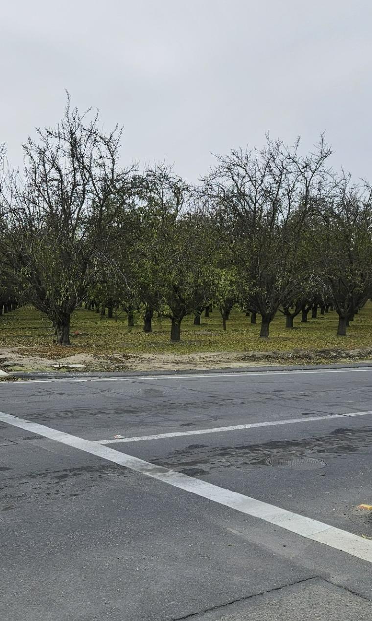 0 West Whitesbridge Avenue Kerman, CA 93630 - Photo 6 of 6 a view of a yard with a house