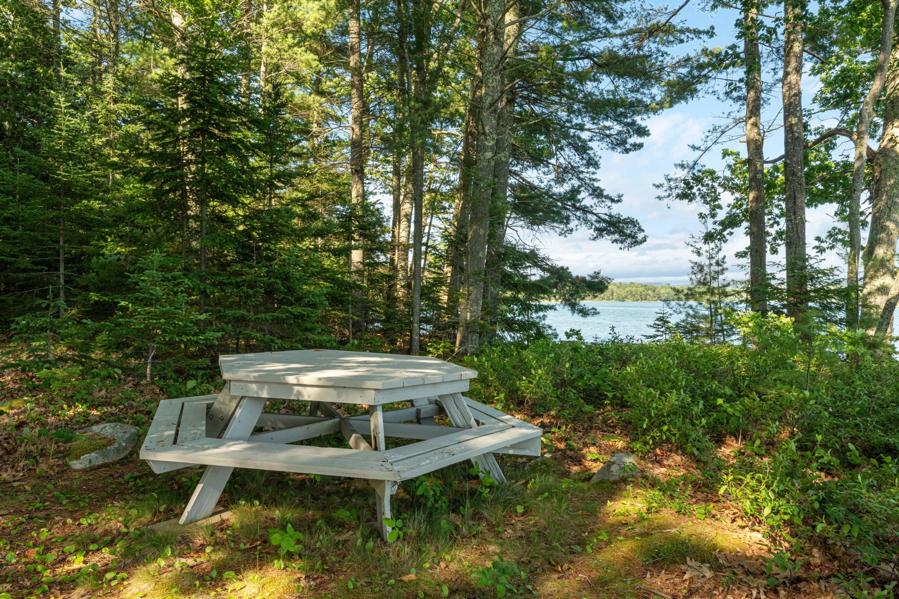 61 Dwelly Point Road Franklin, ME 04634 - Photo 45 of 48 61_Dwelly_Point_049