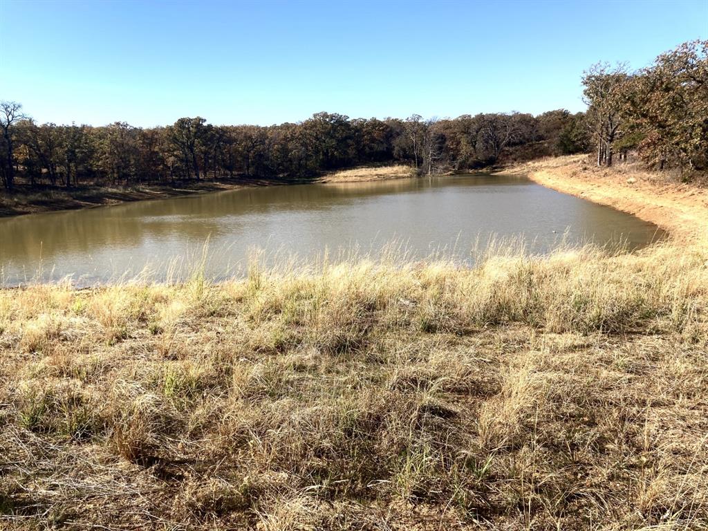 0 Marley Road Jacksboro, TX 76458 - Photo 12 of 32 Good grass cover on the dam.